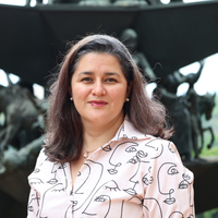 Leidy Johanna Pedraza Hernandez